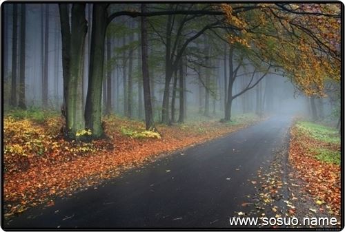 �μ����Լ�������׷��,�����μ����Լ�������׷��