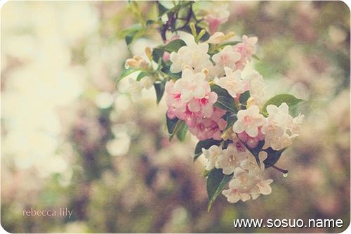�μ�ӥ������,�����μ�ӥ������