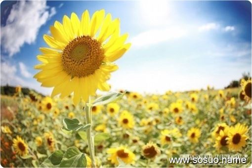 �μ���ĸ���Ҽ�������,�����μ���ĸ���Ҽ�������