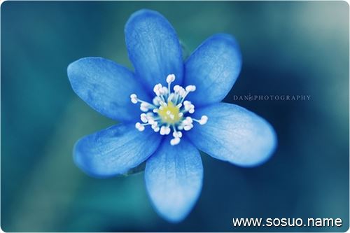 �μ���Ů�����໥������,�����μ���Ů�����໥������