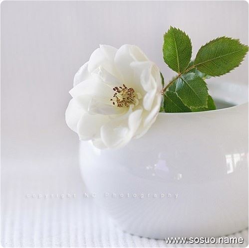 �μ�˫����ĸ���ҼҼ���,�����μ�˫����ĸ���ҼҼ���