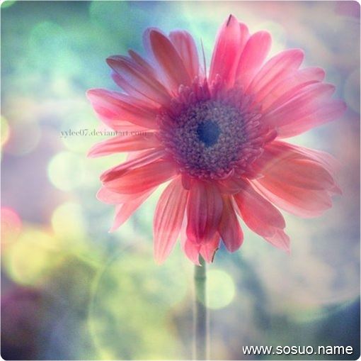 �μ������������ѵ�ƨ��,�����μ������������ѵ�ƨ��