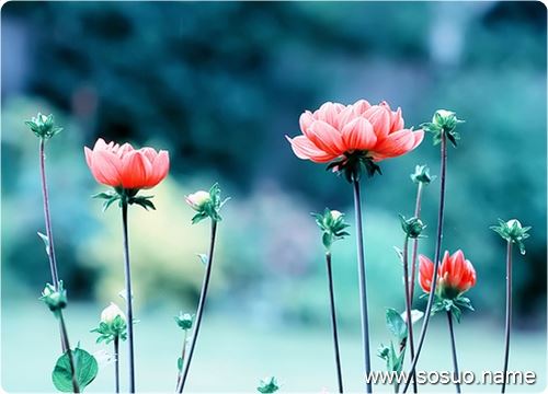 �μ����Ͻ�����,�����μ����Ͻ�����