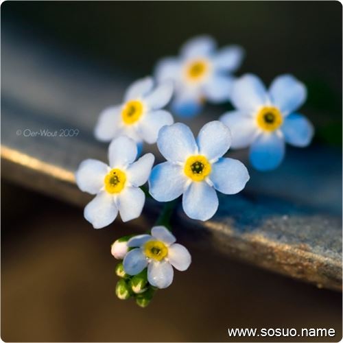 �μ����ϵ������ִ�����,�����μ����ϵ������ִ�����