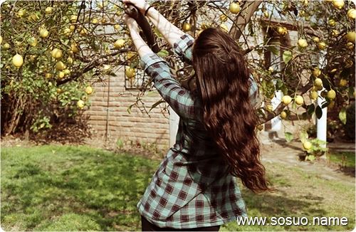 �μ��ͽ�����,�����μ��ͽ�����