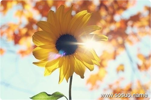 �μ������˲����Լ�����,�����μ������˲����Լ�����