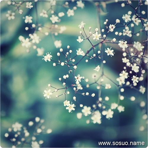 �μ�����ÿ�����䶼��һ��ˮ,�����μ�����ÿ�����䶼��һ��ˮ