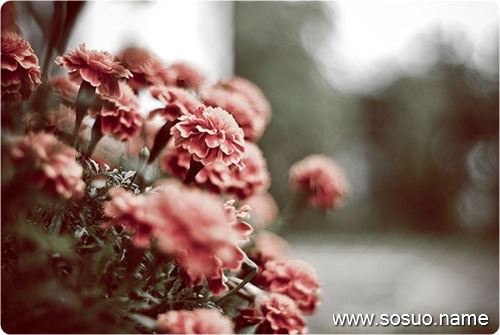 �μ���Ӥ����Ц,�����μ���Ӥ����Ц