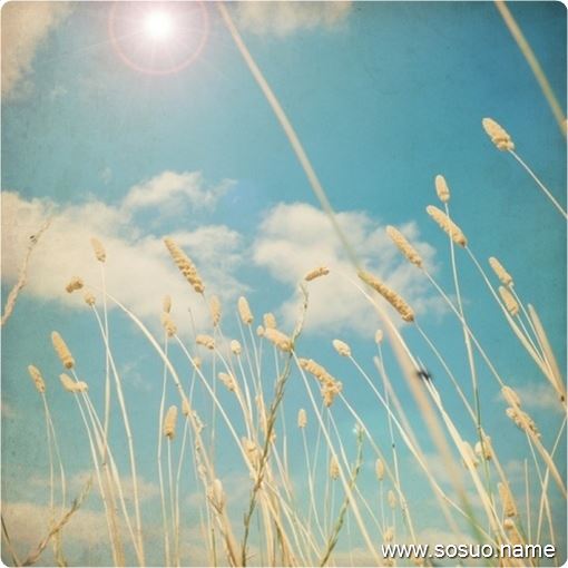 �μ��Լ�ϲ����Ů������˱���,�����μ��Լ�ϲ����Ů������˱���