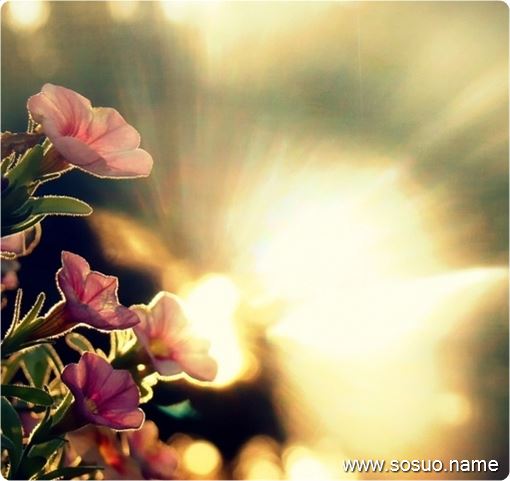 �μ���İ������в��,�����μ���İ������в��