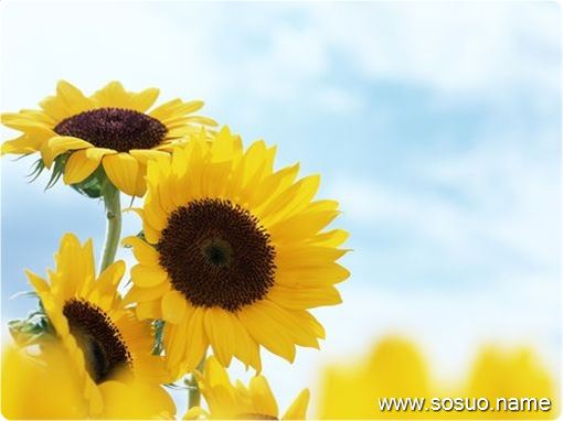 �μ���ȥ�����̵ò���,�����μ���ȥ�����̵ò���