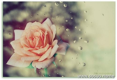 �μ����˽ڿ�Ƭ,�����μ����˽ڿ�Ƭ