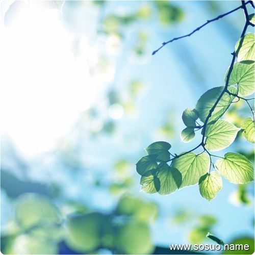 �μ��Ӽ����ط���Ǯ,�����μ��Ӽ����ط���Ǯ