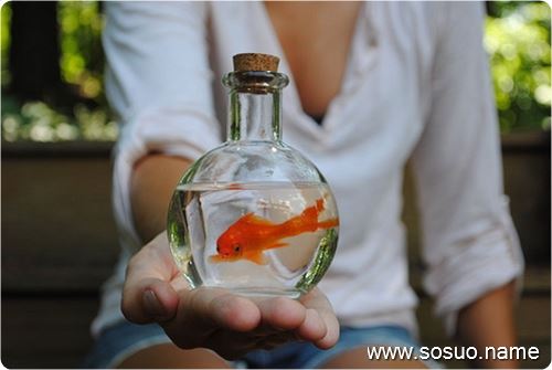 �μ��Ϲ϶��ϱ���,�����μ��Ϲ϶��ϱ���