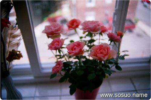 �μ����ŵ�ˮ�ﱻ�ͳ�����,�����μ����ŵ�ˮ�ﱻ�ͳ�����
