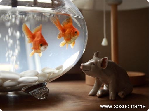 �μ�����ǽ����,�����μ�����ǽ����