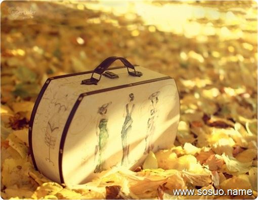 �μ�̩�Ϲ�ҧ���ҵĽŲ���,�����μ�̩�Ϲ�ҧ���ҵĽŲ���
