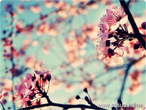�μ����úܺÿ��Ķ���,�����μ����úܺÿ��Ķ���