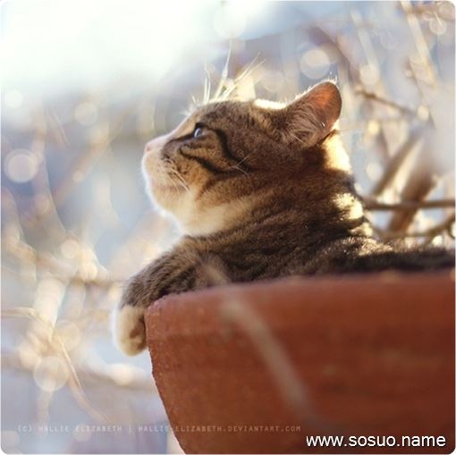 �μ����й��۽���,�����μ����й��۽���