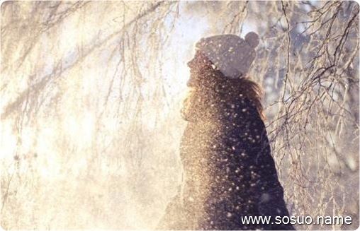 �μ���ľ�����Ż�,�����μ���ľ�����Ż�