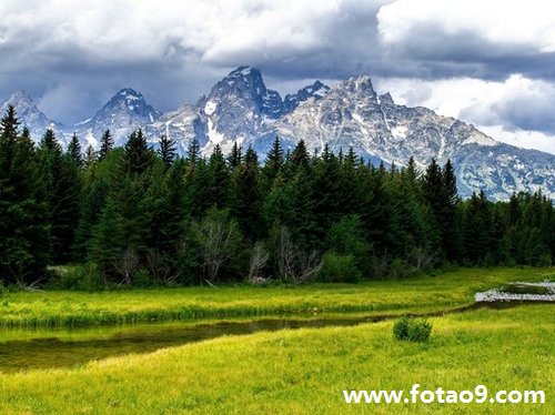 孕妇梦见陌生男人但是没小鸟鸟是怎么回事?