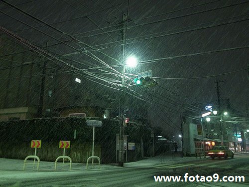 梦见与蛇精打丈被我用火烧死意味着什么?