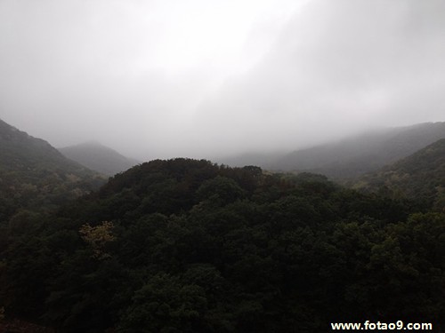 梦见玩招鬼游戏是什么意思?