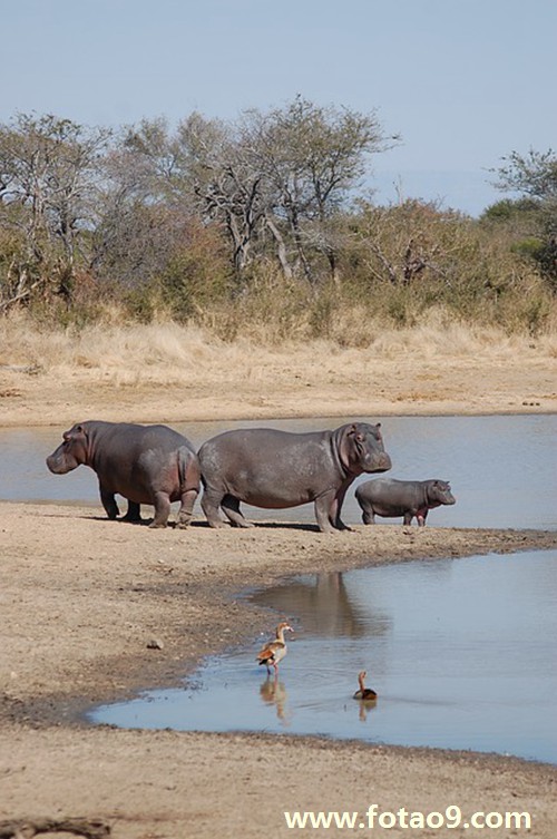 梦见隔壁邻居烧了我家牛圈-周公解梦