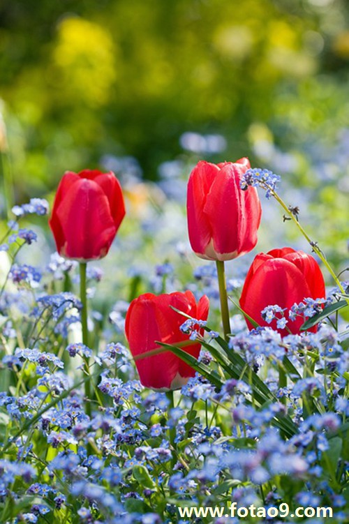 梦见家中宴会把客人赶走好不好?