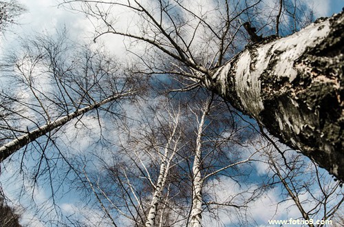 梦见大肚子怀孕要生的含义