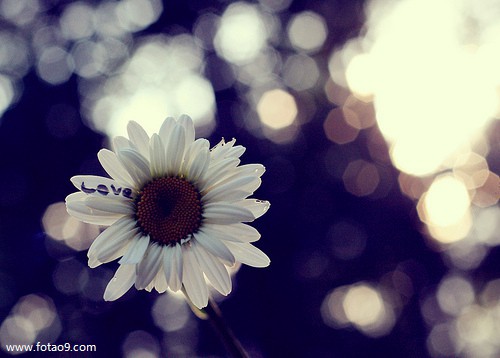 梦见吹台风下雨是怎么回事?