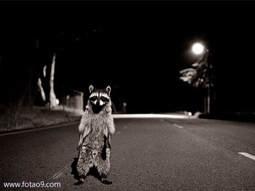 梦见家里的大门是竹子做的门檐是什么意思?