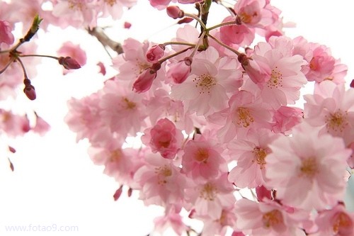 梦见女朋友肚子变大了是怎么回事?