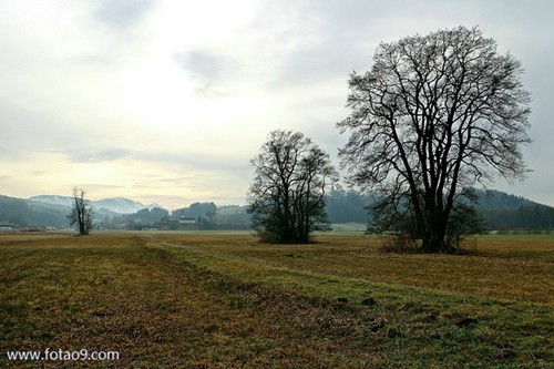 梦见家中的东西都丢失了的含义