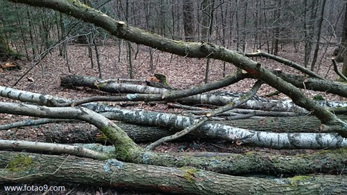 梦见发火箭炮好不好?