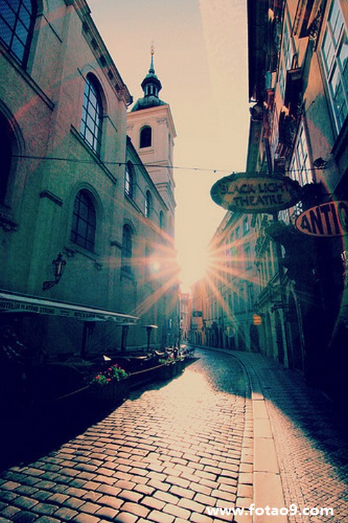 梦见别人抓的屎是什么意思?