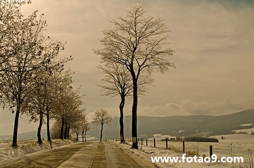 梦见吞掉一枚古币好不好?_周公解梦查询_佛滔算命网