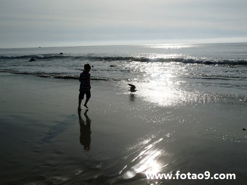 谁能为我解梦啊,梦见小男孩掉水里 谁能为我解梦啊,梦见小男孩掉水里