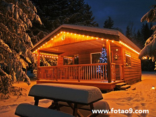 梦见打开酸奶盒里面全是小蜘蛛是怎么回事?