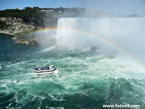 梦见怀孕一条黑蛇想咬我的含义