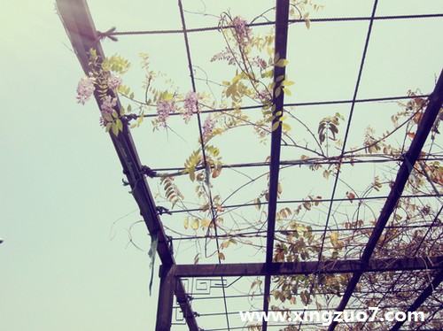 һ(2015.5.25-5.31)3