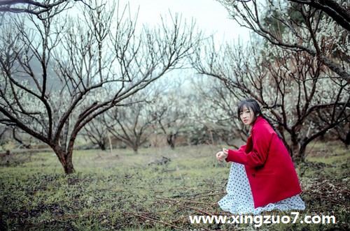 AlexǴһ(2015.12.21-12.27)2