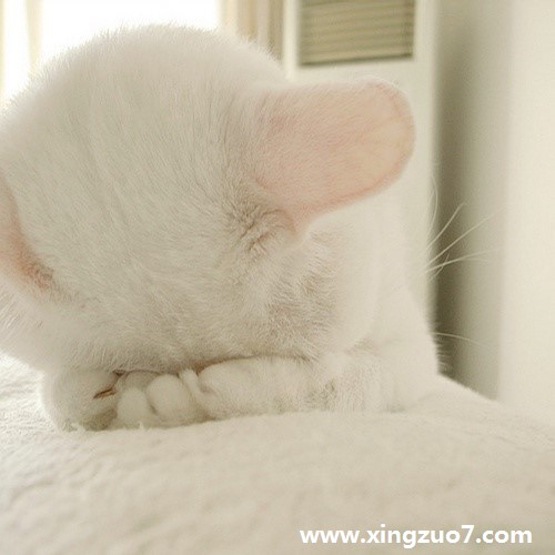 Τһ(2015.8.24-8.30)2