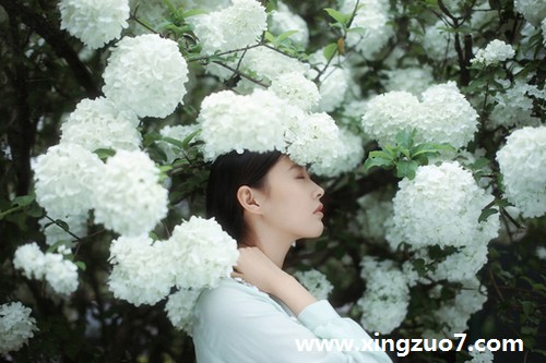 -˹һ(2015.5.11-5.17)1