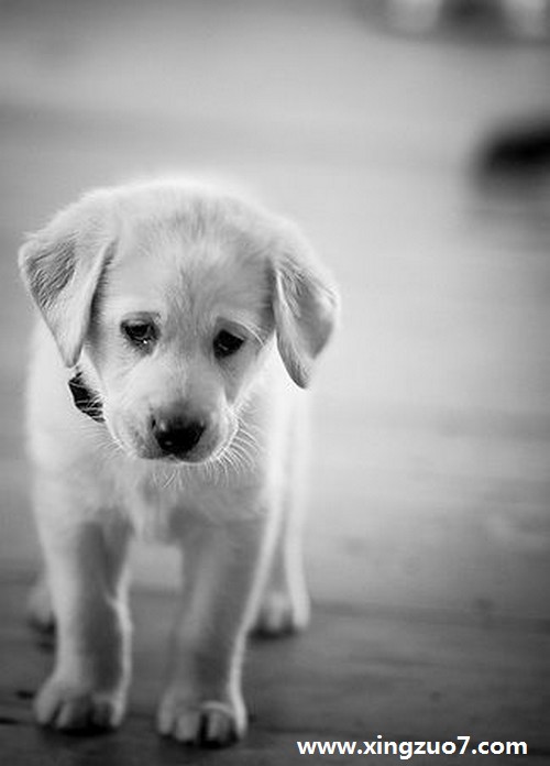 ΢һ(2016.8.29-9.4)2