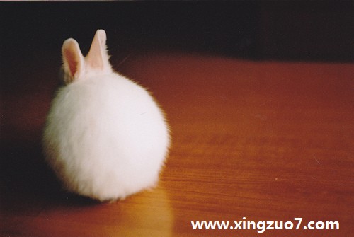 Ӱһ(2016.1.18-1.24)2