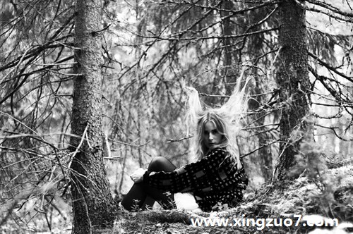 AlexǴ201593