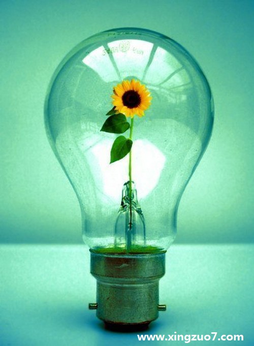 ޱޱ-޶һ(2016.1.18-1.24)1