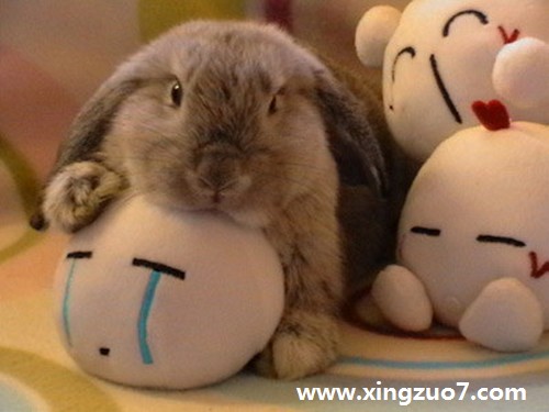 ʰˮһ(2015.9.14-9.20)3