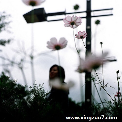 ʰˮһ(2015.4.20-4.26)3